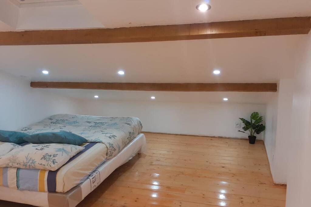 Appartement La Joie Dans Quartier Chic Pibrac 외부 사진